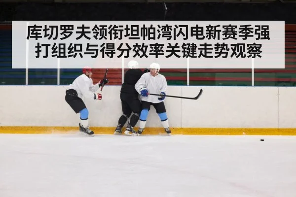 库切罗夫领衔坦帕湾闪电新赛季强打组织与得分效率关键走势观察